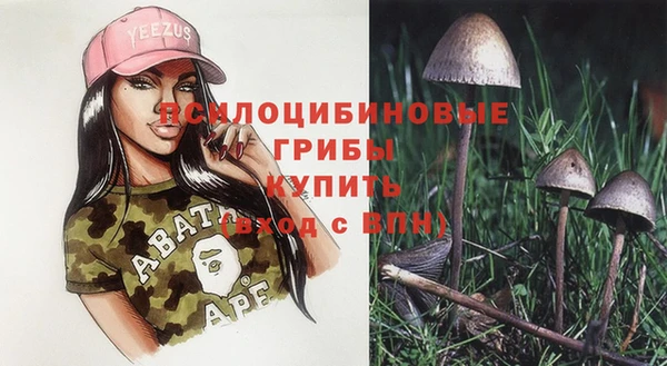 синтетический гашиш Алексеевка