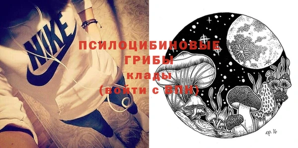 круглые Алзамай