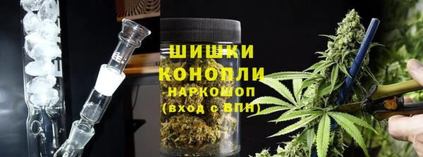 ГАЛЛЮЦИНОГЕННЫЕ ГРИБЫ Липки