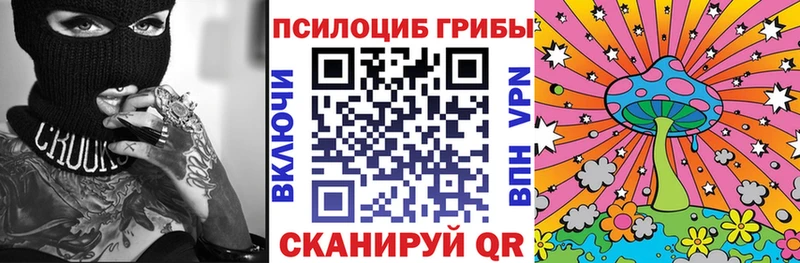 даркнет сайт  маркетплейс состав  Галлюциногенные грибы Psilocybe  Елизаветинская 